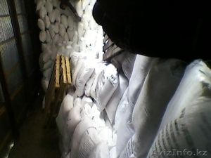 ТОО Азот ЛТД  ,  Узбекский Карбамид,  Российская селитра,  мин. удобрения #259026