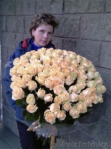 РОЗЫ!!! 101 роза #277516