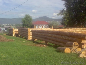 Срубы  хвойных пород #305545