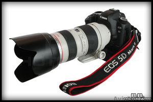 Свадебный фотограф (Астана) #283434