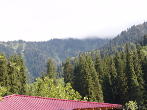 Дом отдыха на Медео #291611