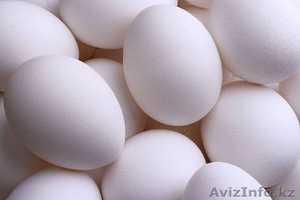 ПРОДАМ ЯЙЦО КУРИНОЕ #306837