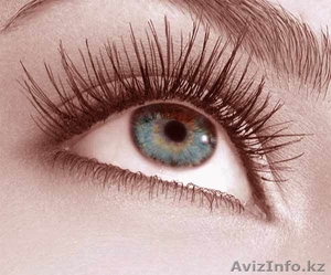 Наращивание 3D ресниц! #283084
