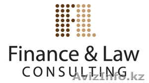 ТОО Finance&Law Consulting #285785