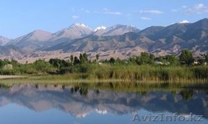 Иссык-куль отдых 2011 #306151