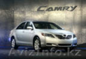 bee-car аренда автомобилей #288897