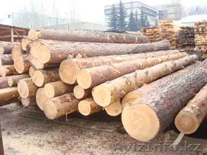 87016484428 звоните #296796