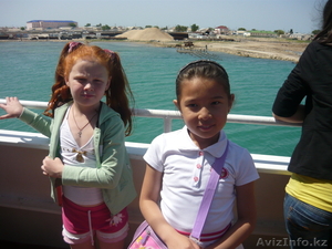 сниму 2 ком. кв. 6 или 8 микрорайоне от 60000 до 85000 тенге  #297592