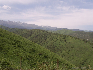 Срочно продам или обменяю дачу #289787