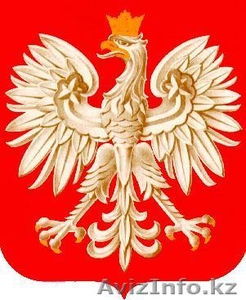 Преподаватель польского языка по Skype #309154