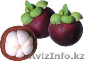 Мангустановый сок Xango - полезный для всех #293873