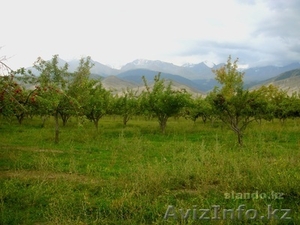 50 соток от Алматы 15кмНЕДОРОГО! СРОЧНО! #307850