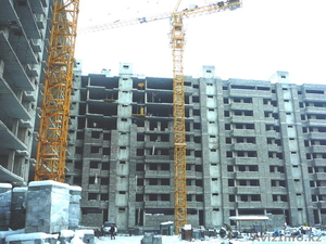 Башенный кран QTZ-80 #310126