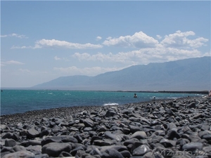 отдых на озеро “АЛАКОЛЬ” #314994