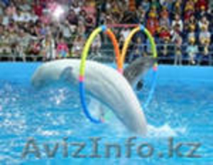 ДЕТСКИЙ И МОЛОДЕЖНЫЙ ЛАГЕРЬ в БОЛГАРИИ  “Delta Beach” #320950