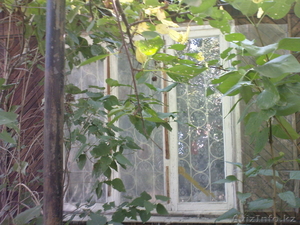 талгарский район, дачи №1 #331113