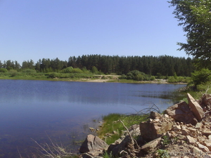 земельный участок в лесу для отдыха #335331