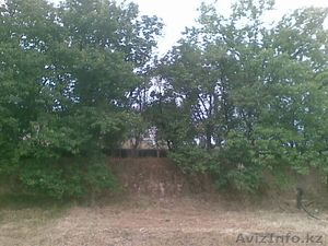 Участок 16 соток ,  Турарские дачи. 50км от Алматы #326848