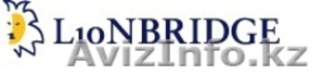 Internet Assessor -  Kazakhstan #325152