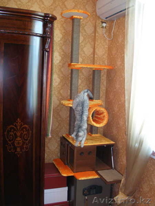 домики для кошек #279298