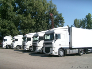 ТОО  Белый Кардинал #335173