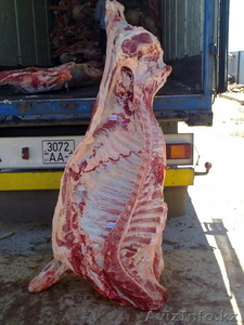 Мясо говядина 1 категории замороженное  #365647