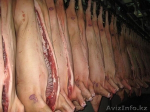 Реализуем со склада в Алмате говядину и свинину оптом. #358139