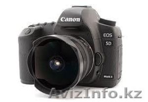 Brand New Camera canon 5d mark 2 #367879