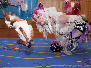 Шоу программа на любой праздник и торжество. #52808