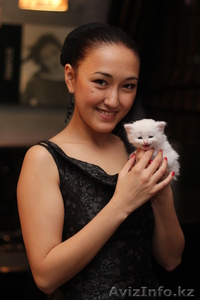 Uno-momento photography #363440