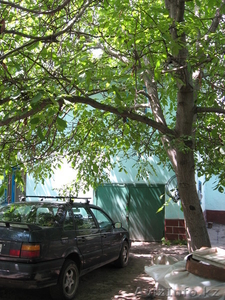 Продам Дом в Верхней Каменке 8 7783397344 #199752