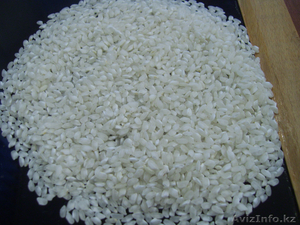 Продам рис Урожай 2013 года в неограниченном кол-ве город Кызылорда  #72768
