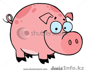 Продам поросят по цене ниже рыночной ! #364665