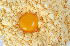 Яичный порошок российского производства  #393511