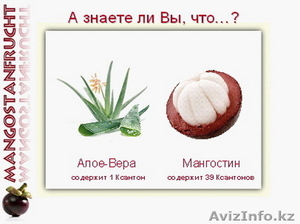 Xango +7-777-666-8437 #385081