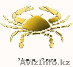 Раки оптом  #370474