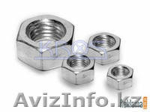 ТОО MS Almaty компания #392789