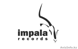 Студия звукозаписи Impala Studio #388186