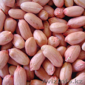 Арахис очищенный – (Китай)  #393489
