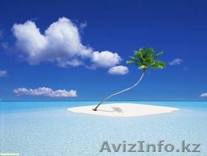 Роскошный отдых в ОАЭ с Palm tour! #385224