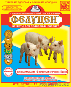 Удобрения и все для с/х животных. #385575