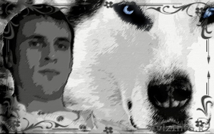 услуги фотошоп,  редактирование фото #381329