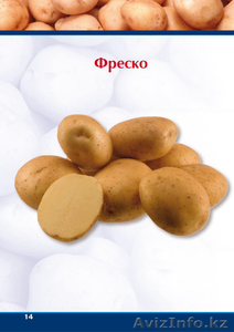  РЕАЛИЗУЕМ КАРТОФЕЛЬ #399813