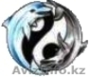 AsDOLPHIN, транспортная компания #231706