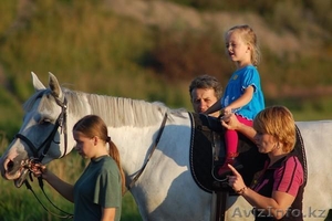 Курсы по ИППОТЕРАПИЯ,  альтернативные метод лечение ДЦП #403094