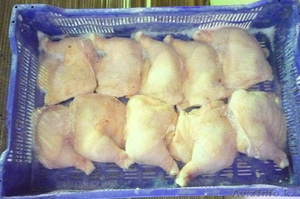 Продаем мясо кур и куриные окорока #409405