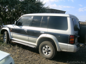 саламандра 2011 #408946