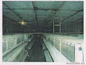  Крестьянское  Хозяйство продам #413641