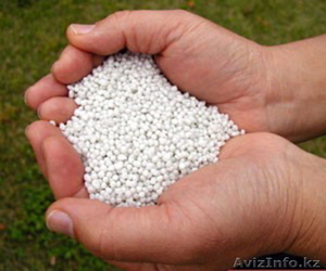 Продам селитру аммиачную марка Б,  ГОСТ 2-85  #393495