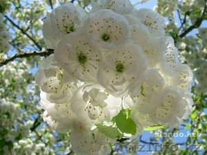 Женский психолог #412059